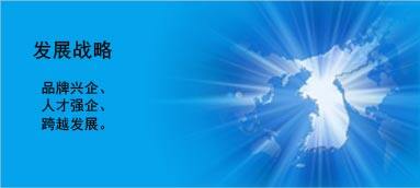 發(fā)展戰(zhàn)略 發(fā)展戰(zhàn)略